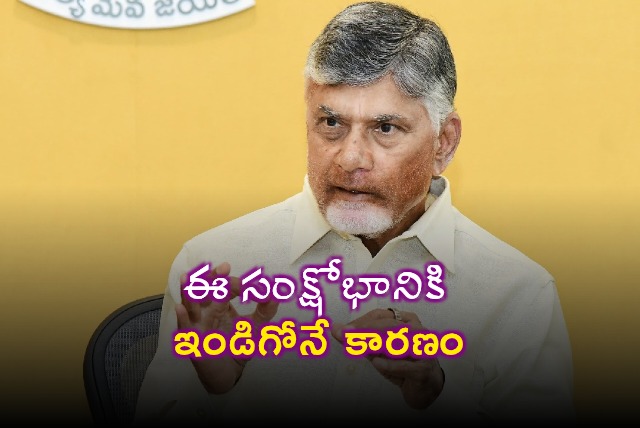 Chandrababu Naidu says Indigo is responsible for flight crisis