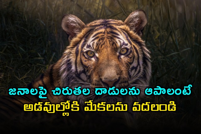 Ganesh Naik suggests releasing goats into forests to stop leopard attacks