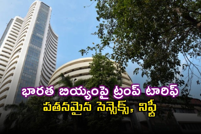 Stock Market Sensex and Nifty Fall After Rally