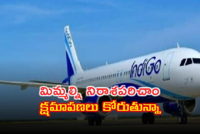 Indigo CEO Pieter Elbers Apologizes for Flight Disruptions