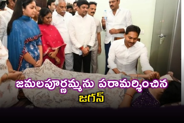 YS Jagan Mohan Reddy Visits Jamalapoornamma in Vijayawada