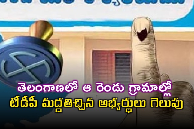 TDP Supported Candidates Win in Two Telangana Villages