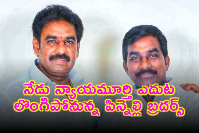 Pinnelli Brothers to Surrender Before Judge Today