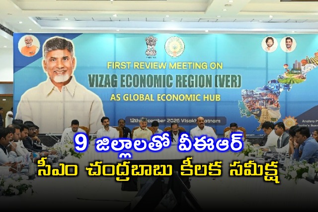 Chandrababu Naidu Reviews Visakha Economic Region Development