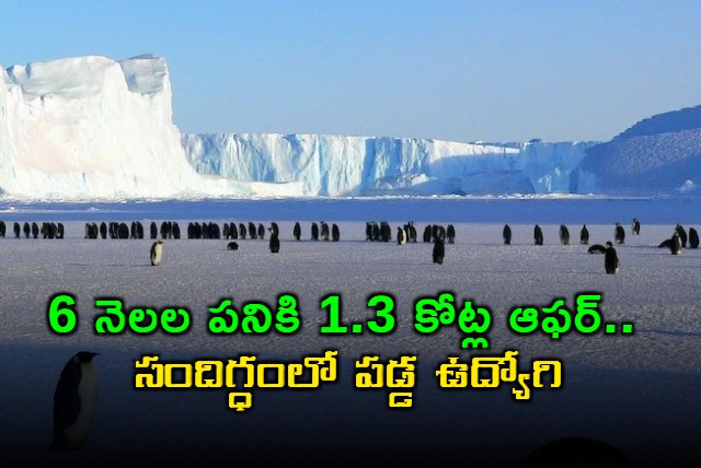 Employee Seeks Advice on 13 Crore Antarctica Job Offer