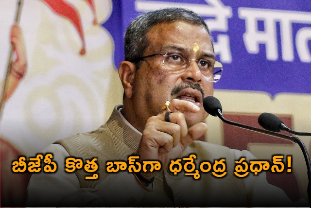 Who is the new BJP Chief Dharmendra Pradhan leading the race