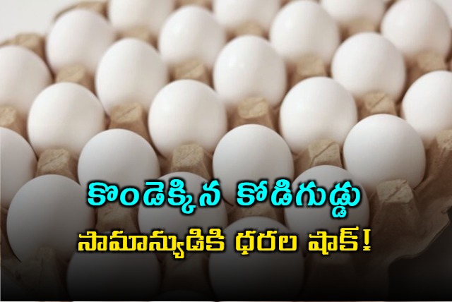 Egg Prices Soar in Andhra Pradesh Shocking Consumers