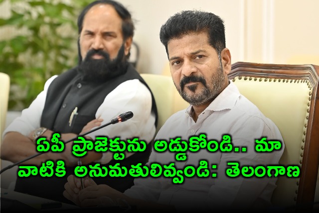 Telangana opposes Polavaram Nallamalasagar project seeks approvals for its own