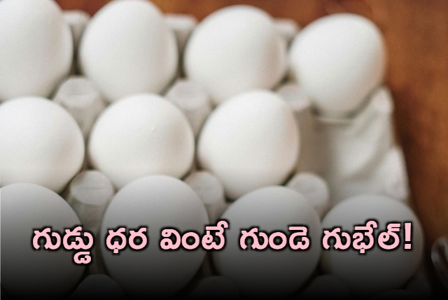 Egg Price Hike Record Egg Prices Hit Consumers Hard