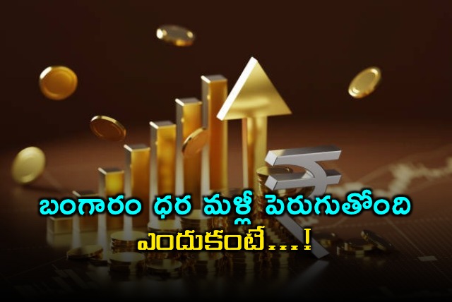 Gold Price hits all time high in Indian markets