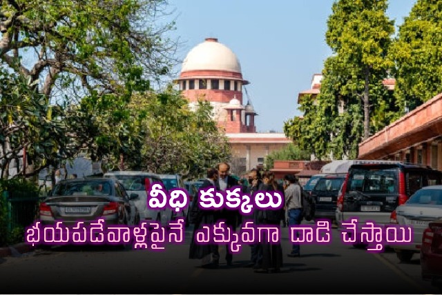 Supreme Court says dogs sense fear attack fearful people