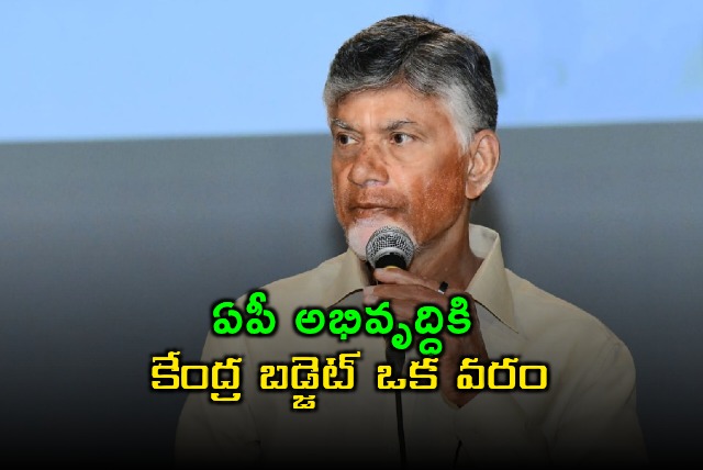 Chandrababu Naidu Praises Union Budget as Boon for AP Development