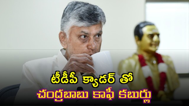 Chandrababu Naidu Holds Coffee Chat With TDP Cadre