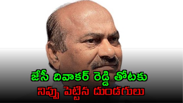 JC Diwakar Reddys farm set on fire in Anantapur