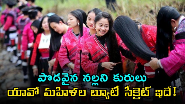 Rice Water The Beauty Secret of Yao Women