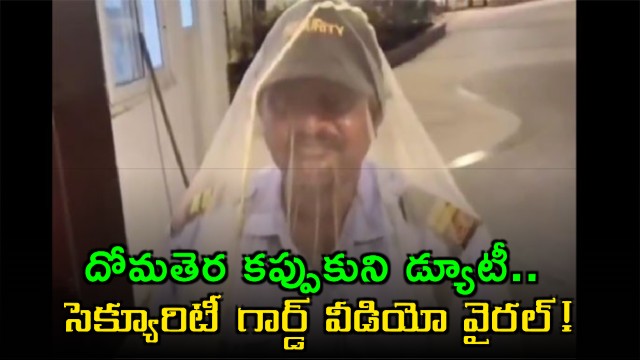Hyderabad Security Guard Viral Video Shows Duty in Mosquito Net