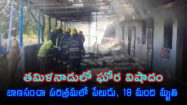 Tamil Nadu Fire Accident 17 Killed in Fireworks Factory Explosion
