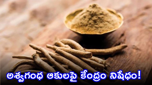 Ashwagandha Leaves Banned by Central Government Reason Explained