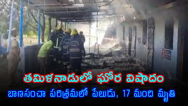 Tamil Nadu Fire Accident 17 Killed in Fireworks Factory Explosion