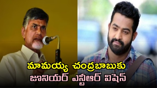 Junior NTR Wishes Chandrababu Naidu on Birthday