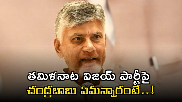 Chandrababu Naidu Comments on Vijays Party in Tamil Nadu