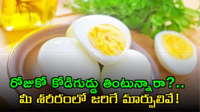Eggs Are These The Changes In Your Body If You Eat One Every Day