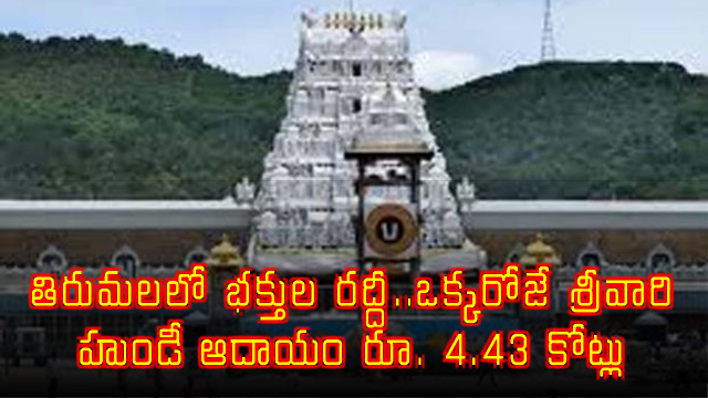 Tirumala Temple Sees Huge Pilgrim Rush Hundi Income Reaches 443 Crore