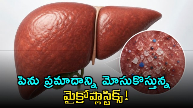 Plastic particles may trigger liver disease risk Researchers