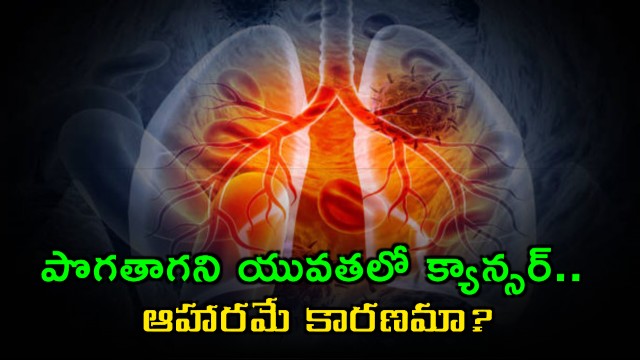 USC Study Links Pesticides to Lung Cancer in Young Non Smokers