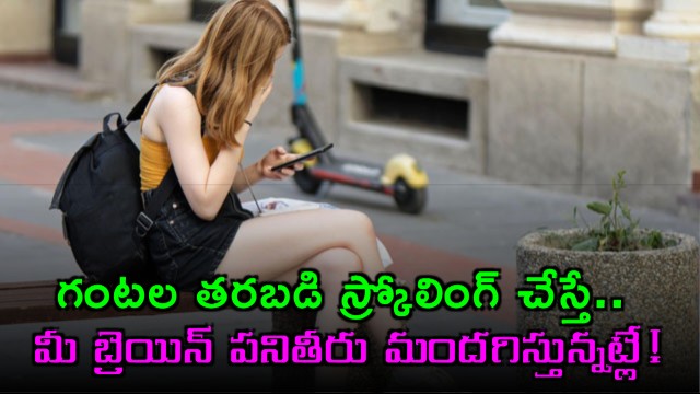 Short Videos Impact on Brain Function Study