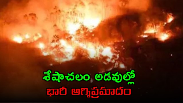 Seshachalam Forest Fire Under Control Near Tirupati