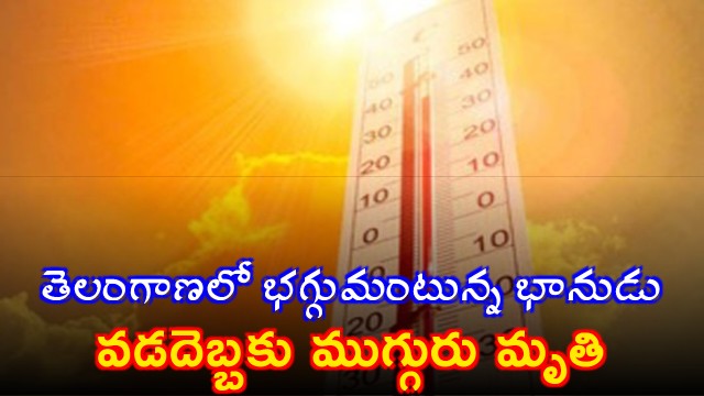 Imd Issues Heatwave Alert In Coming Days In Telangana