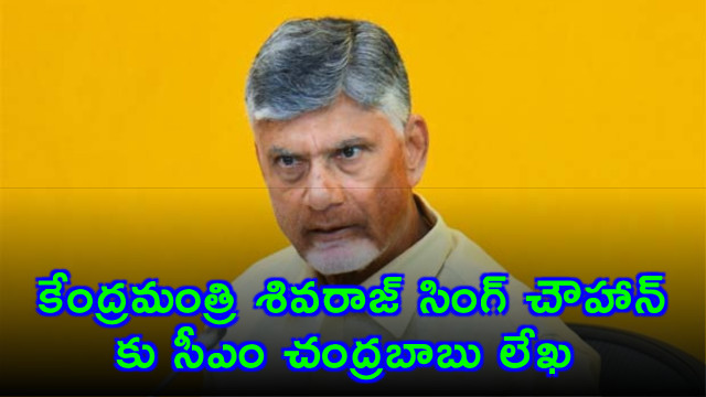 support maize farmers cm chandrababu naidus letter to union minister shivraj singh chouhan