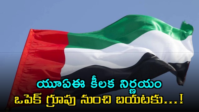 UAE To Quit Oil Exporting Groups OPEC OPEC