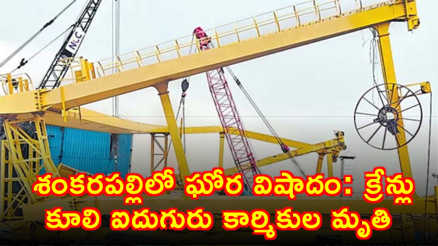 five killed collision between gantry cranes