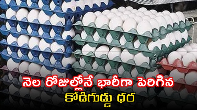 Egg Prices Surge in Telangana