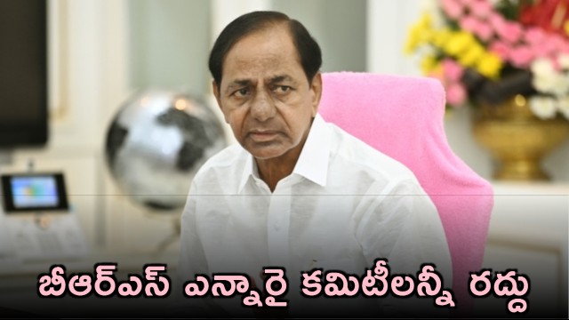 BRS NRI committees dissolved