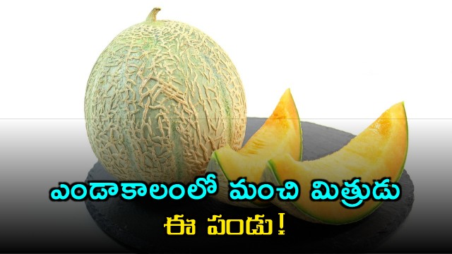 Muskmelon a good friend for every one in summer