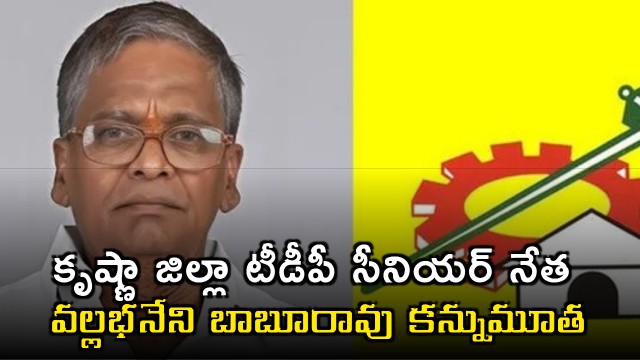 Vallabhaneni Babu Rao TDP Senior Leader Passes Away