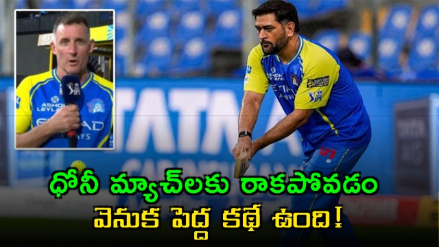 MS Dhoni Absence From CSK Games Explained By Michael Hussey
