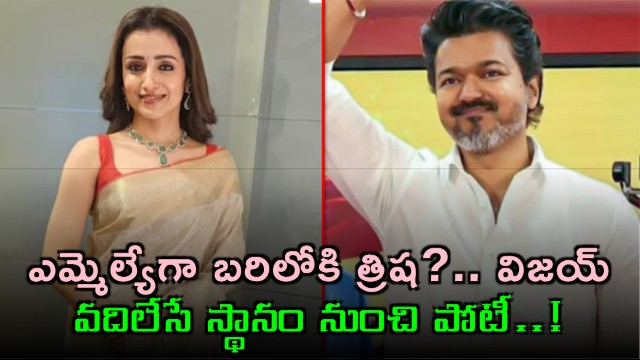 Trisha to contest as MLA Vijay may vacate constituency