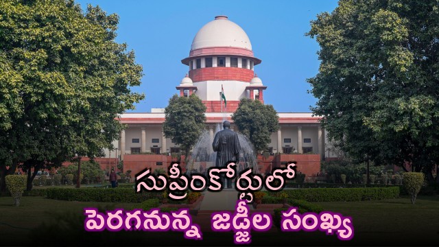 Supreme Court Judges Number to Increase Approved by Cabinet