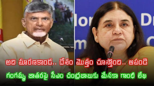 Maneka Gandhi urges Chandrababu to stop animal sacrifices at Ganga Jatara