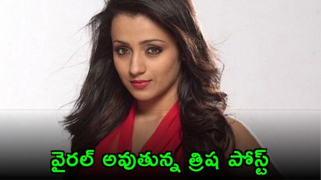 Trishas Viral Birthday Post and Tirumala Visit