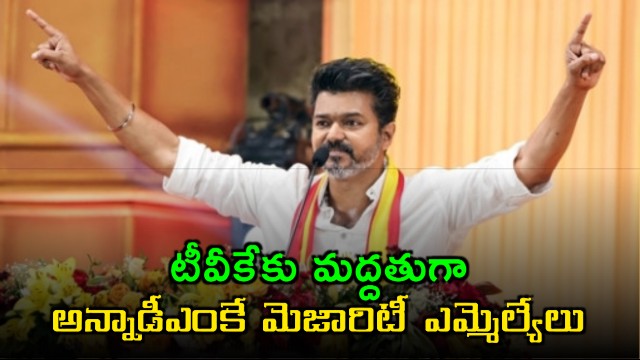 Anna DMK MLAs Support Vijays TVK