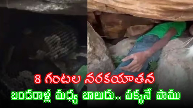Odisha Boy Gets Head Stuck In Crevice Finds Snake Staring At Him