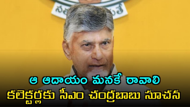Chandrababu Naidu Focuses on Increasing AP Revenue Through Local Products