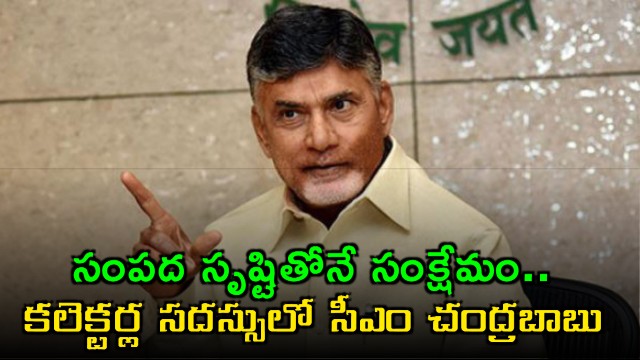 Chandrababu Naidu Directs Collectors on Wealth Creation for Welfare