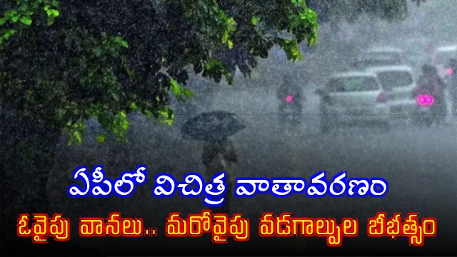 Andhra Pradesh Weather Rains and Heatwaves Create Havoc