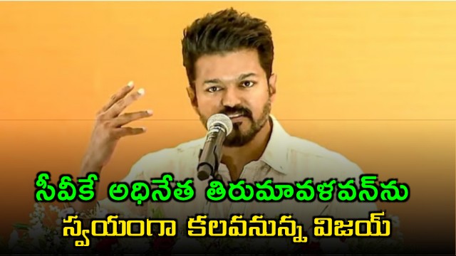 Vijay to Meet Thirumavalavan for Support